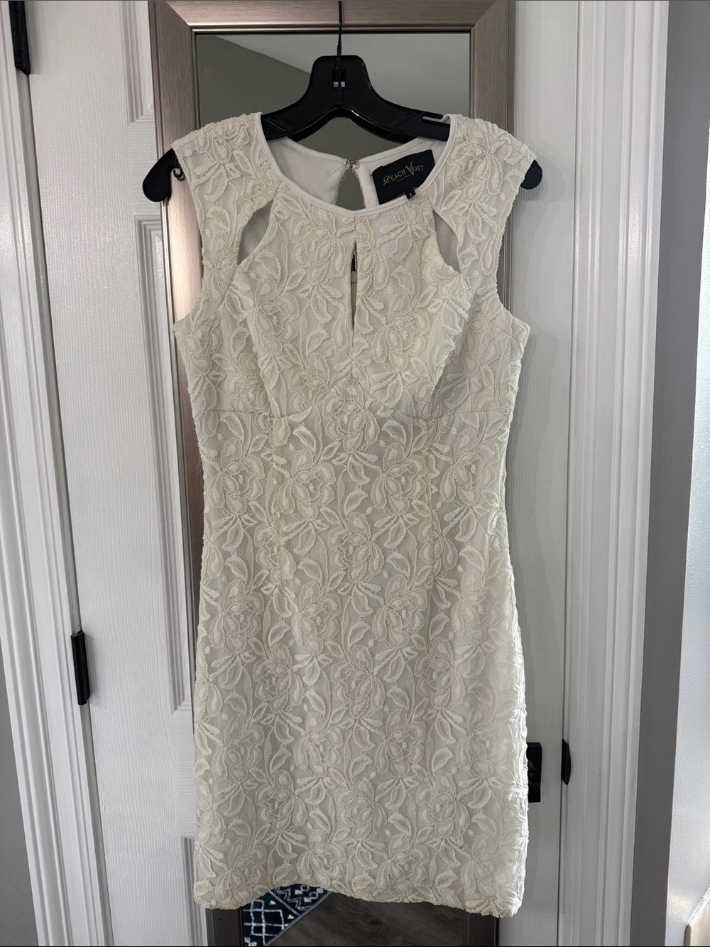 Peach Velvet Cream Lace Sheath Dress